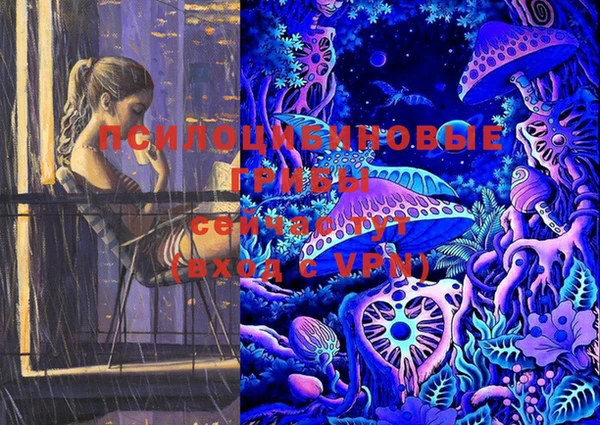 PSILOCYBIN Балабаново